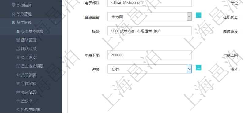 項目管理軟件人力資源管理模塊可以維護修改員工基本信息資料，比如：姓名、代碼、描述、財務(wù)人、登錄賬戶、工號、性別、生日、入職日期、學(xué)歷、崗位、職稱、電話、傳真、電子郵件、單位、部門、直接主管、在職狀態(tài)、負責(zé)領(lǐng)域、標簽、崗位職責(zé)、自我介紹、年薪下限、年薪上限、年成本、資源、照片等。