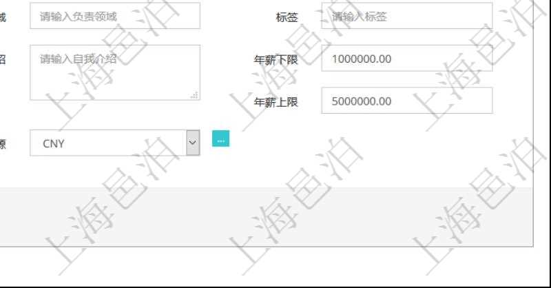 項目管理軟件人力資源管理可以修改維護團隊信息，比如：上級團隊、序號、名稱、代碼、描述、財務人、登錄賬戶、組長、單位、部門、直接主管、在職狀態(tài)、負責領域、標簽、崗位職責、自我介紹、年薪下限、年薪上限、年成本、貨幣單位資源等。