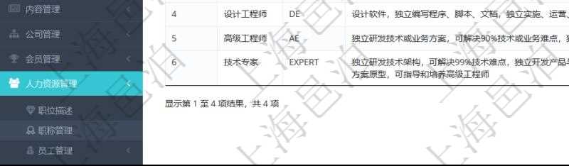 項目管理軟件人力資源管理職稱管理查詢列表可以查詢維護(hù)職稱配置信息，比如包括：ID、名稱、代碼、描述與分類等。