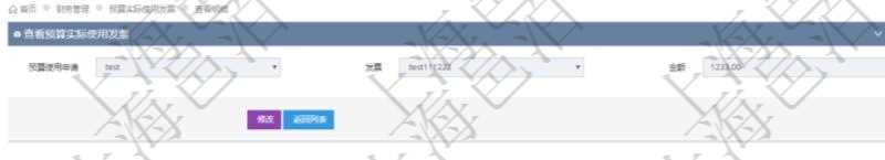查詢(xún)項(xiàng)目管理軟件財(cái)務(wù)管理系統(tǒng)預(yù)算實(shí)際使用發(fā)票信息時(shí)返回：預(yù)算使用申請(qǐng)、發(fā)票信息及金額。