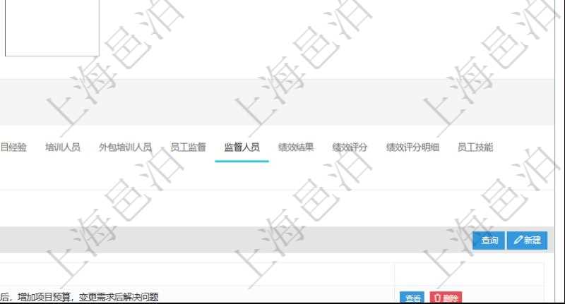 項目管理軟件人力資源管理模塊員工基本信息資料明細(xì)查詢還可以關(guān)聯(lián)查詢更多相關(guān)資料，比如負(fù)責(zé)過的監(jiān)督項目：監(jiān)督、項次、總結(jié)。